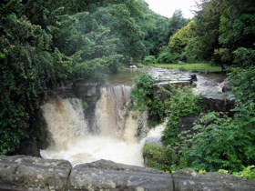 Image of Jesmond Dene